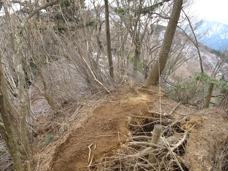 20170113hike (141)
